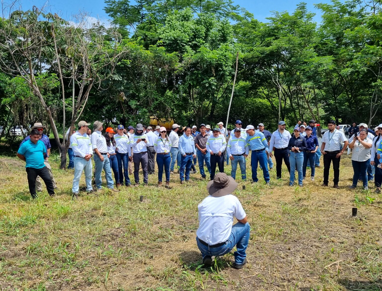 Inician Las Jornadas De Reforestaci N En La Costa Sur Icc