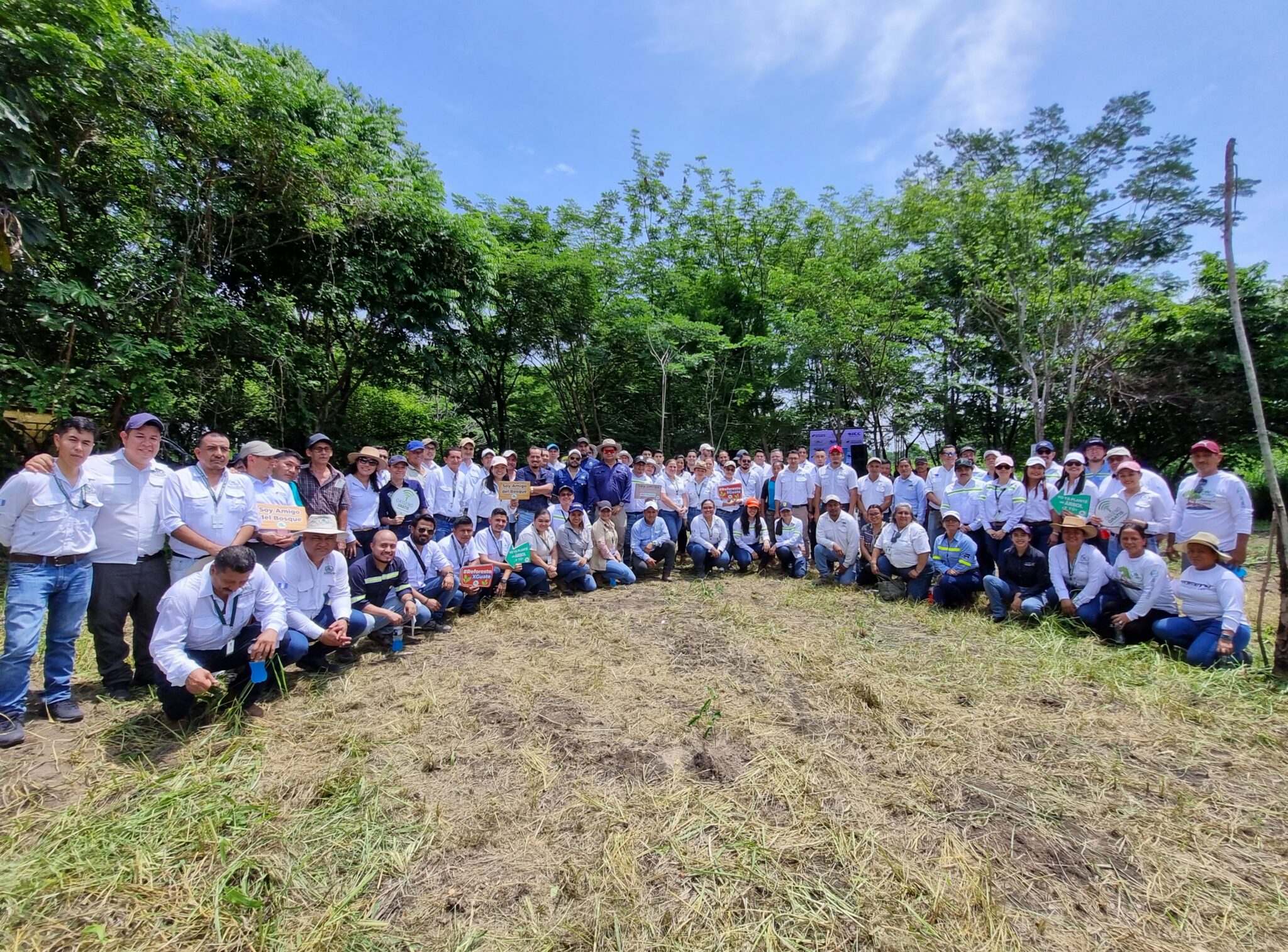 Inician Las Jornadas De Reforestaci N En La Costa Sur Icc