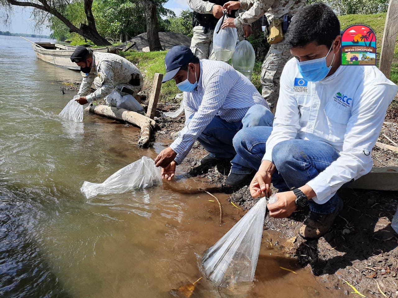 Río Coyolate recibe 2,500 peces nativos ICC