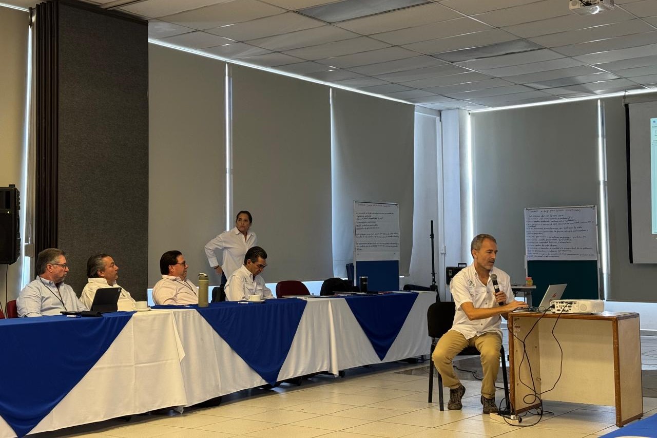 WhatsApp Image 2026-03-18 at 14.08.17 (1)