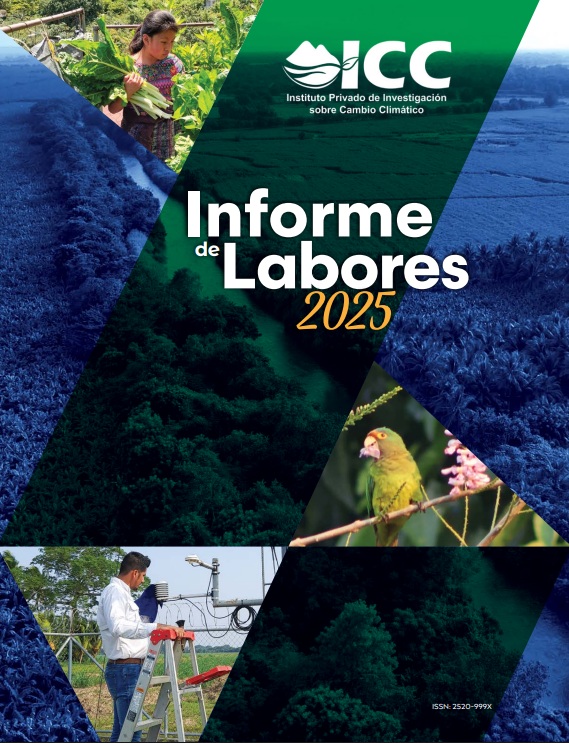 Informe de labores